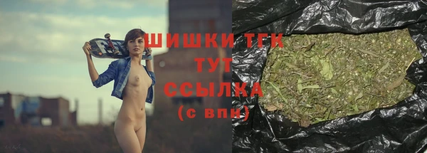 тгк Михайлов
