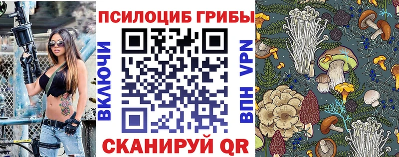 Псилоцибиновые грибы мицелий  Купить где  Мышкин 